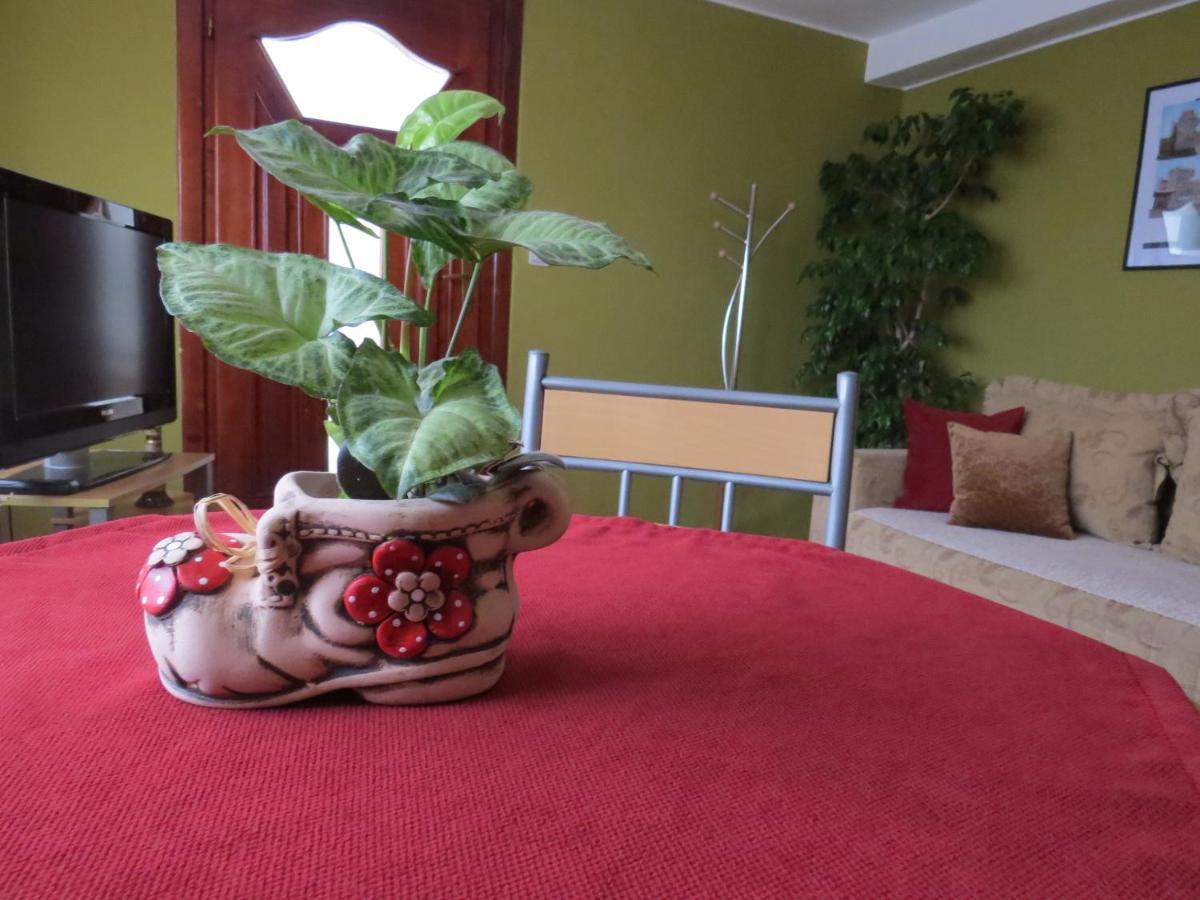 Apartman Bilja Vrnjačka Banja Zewnętrze zdjęcie
